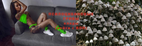 сатива Абаза