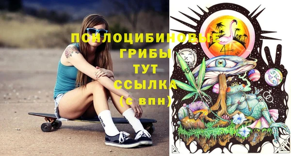 молекула духа Абинск